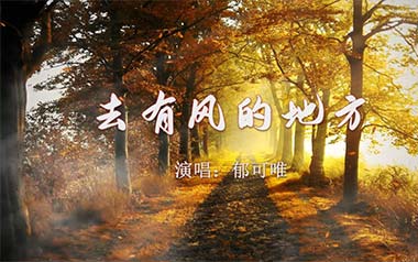 去有风的地方吉他谱_郁可唯_G调_变调夹不夹_革命吉他