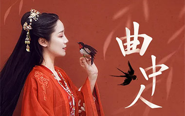 曲中人吉他谱_安儿陈_C调_变调夹1品_静待花开