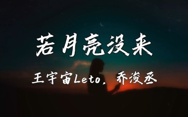 若月亮没来吉他谱_王宇宙Leto_C调_变调夹2品_革命吉他的教程