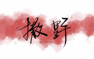 撒野吉他谱_凯瑟喵_C调_变调夹2品_弦木吉他