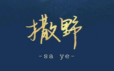 撒野吉他谱_凯瑟喵_C调_变调夹2品_吴先生TAB