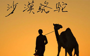 沙漠骆驼吉他谱_展展与罗罗_C调_变调夹不夹_西二吉他