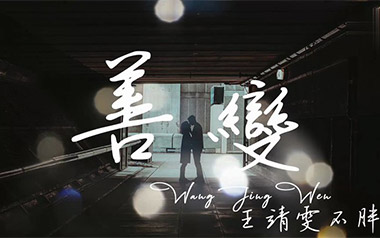 善变吉他谱_王靖雯不胖_C调_变调夹2品_网络转载