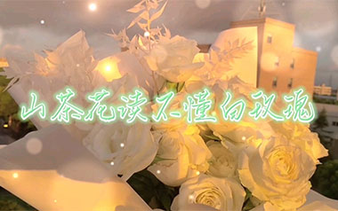 山茶花读不懂白玫瑰吉他谱_柯柯柯啊_C调_变调夹2品_吉他专家