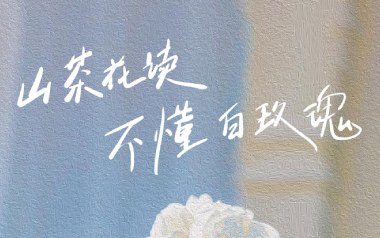 山茶花读不懂白玫瑰吉他谱_Lil_G调_变调夹4品_山山吉他