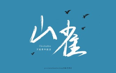 山雀吉他谱_万能青年旅店_C调_变调夹不夹_凡凡吉他教室