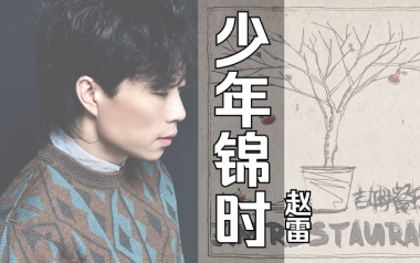少年锦时吉他谱_赵雷_C调_变调夹2品_网络转载