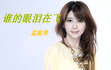 谁的眼泪在飞吉他谱_孟庭苇_C调_变调夹根据个人情况选择_网络转载