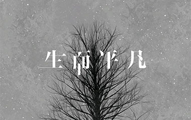 生而平凡吉他谱_王富贵_G调_变调夹4品_两万五