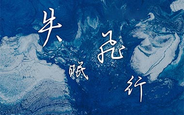 失眠飞行吉他谱_沈以诚_C调_变调夹2品_弦木吉他