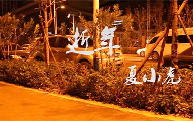 逝年吉他谱_夏小虎_G调_变调夹3品_酷音小伟的教程