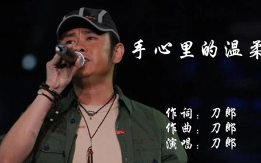手心里的温柔吉他谱_刀郎_F调_变调夹不夹_梦断弦音