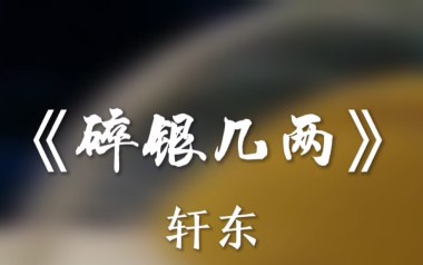 碎银几两吉他谱_轩东_C调_变调夹不夹_吉他专家