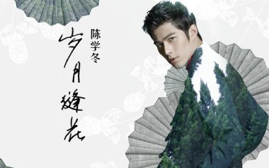 岁月缝花吉他谱_陈学冬_G调_变调夹3品_一颗加菲