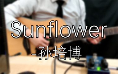 太阳花吉他谱_孙培博_标准调弦_变调夹不夹_网络转载
