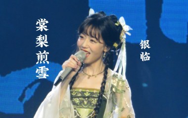 棠梨煎雪吉他谱_银临_C调_变调夹1品_吴先生TAB