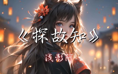 探故知吉他谱_浅影阿_G调_变调夹1品_网络转载