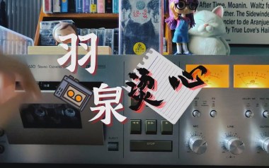 烫心吉他谱_羽泉_C调_变调夹5品_小埋