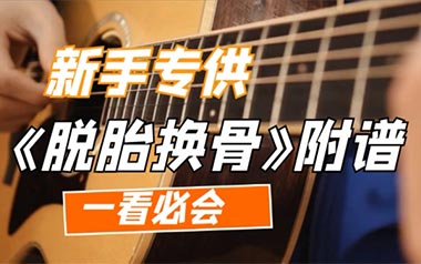 脱胎换骨吉他谱_李荣浩_C调_变调夹不夹_革命吉他的教程