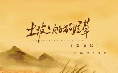 土坡上的狗尾草吉他谱_卢润泽_C调_变调夹2品_网络转载
