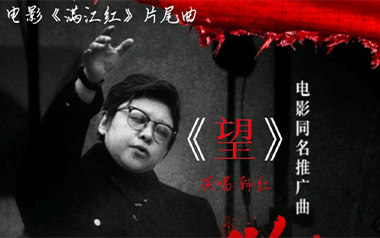 望吉他谱_韩红_C调_变调夹不夹_两万五
