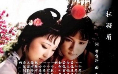枉凝眉吉他谱_陈力_C调_变调夹4品_一颗加菲