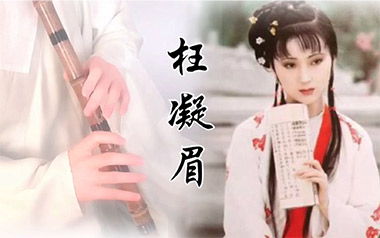 枉凝眉吉他谱_陈力_标准调弦_变调夹不夹_小磊吉他