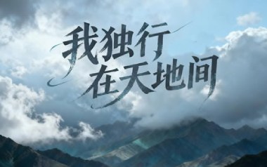 我独行在天地间吉他谱_五凉十坊武威特产馆_G调_变调夹降半音调弦_大卫吉他
