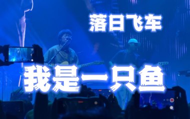 我是一只鱼吉他谱_落日飞车_D调_变调夹2品_鹤唳吉他教室的教程