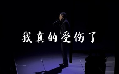 我真的受伤了吉他谱_张学友_G调_变调夹不夹_无限延音