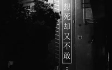 想死却又不敢吉他谱_画词戏子_C调_变调夹2品_两万五