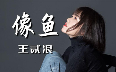 像鱼吉他谱_王贰浪_G调_变调夹4品_胡sir吉他