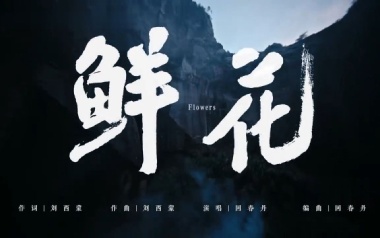 鲜花吉他谱_回春丹乐队_C调_变调夹4品_两万五