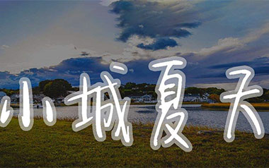 小城夏天吉他谱_LBI利比_特殊调弦_变调夹2品_大树音乐屋