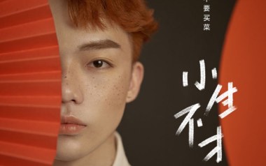 小生不才吉他谱_要不要买菜_C调_变调夹5品_濮宇