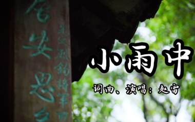 小雨中吉他谱_赵雷_C调_变调夹2品_网络转载