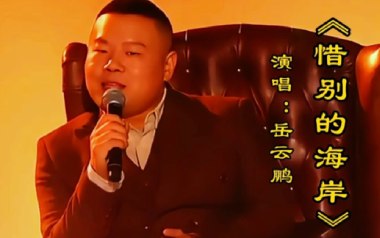 惜别的海岸吉他谱_岳云鹏_G调_变调夹4品_伴生弦