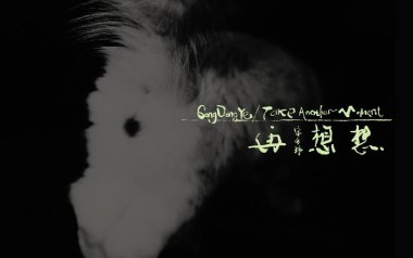 谢谢你吉他谱_宋冬野_C调_变调夹4品_革命吉他