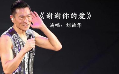谢谢你的爱吉他谱_刘德华_G调_变调夹不夹_果木音乐