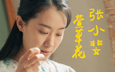 萱草花吉他谱_张小斐_标准调弦_变调夹2品_网络转载