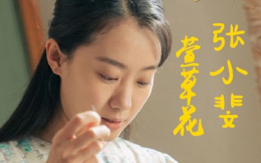 萱草花吉他谱_张小斐_标准调弦_变调夹不夹_小磊吉他