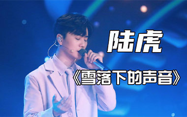 雪落下的声音吉他谱_陆虎_C调_变调夹2品_高音教