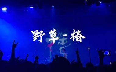 野草吉他谱_椿乐队_C调_变调夹不夹_小埋
