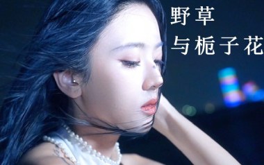 野草与栀子花吉他谱_林三七_G调_变调夹降半音调弦_浪淘沙