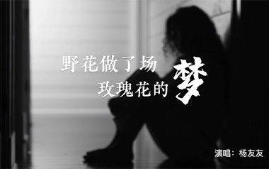 野花做了场玫瑰花的梦吉他谱_杨友友_C调_变调夹1品_两万五