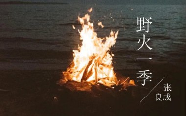 野火一季吉他谱_张良成_C调_变调夹1品_网络转载