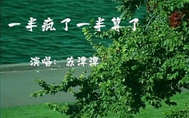 一半疯了一半算了吉他谱_苏谭谭_G调_变调夹2品_濮宇