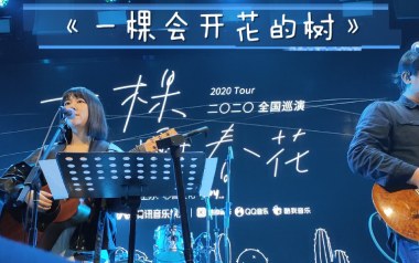 一棵会开花的树吉他谱_谢春花_C调_变调夹1品_无限延音