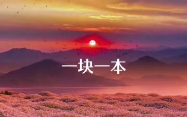 一块一本吉他谱_王玖_D调_变调夹4品_小埋