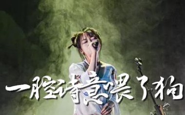 一腔诗意喂了狗吉他谱_花粥_G调_变调夹3品_网络转载